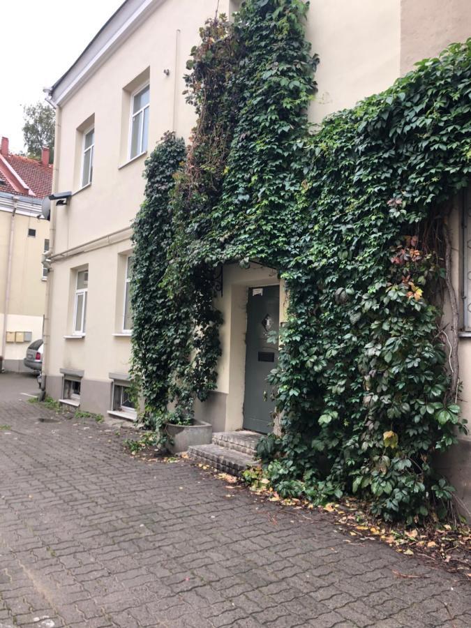 Angel House Vilnius, Dysnosアパートメント エクステリア 写真